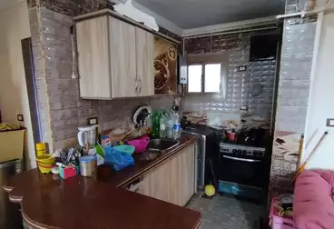 https://aqarmap.com.eg/ar/listing/5055302-for-sale-alexandria-l-jmy-shataa-el-nakheel-el-shamy-st