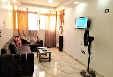 Furnished Apartment For rent - 2 rooms - floor 3