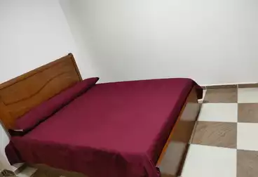 Furnished Apartment For rent in El Senosi St. 1000