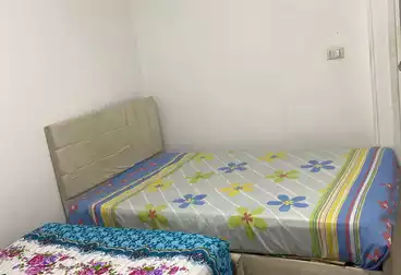 A furnished two-room apartment for rent near Cairo University?, Giza Metro and Qasr El Ainy near all banking services?