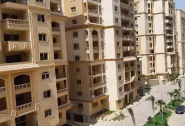 Apartments For rent in Moon City - Amco 