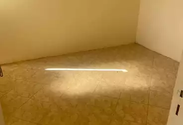Apartments For rent - 2 rooms - floor 6