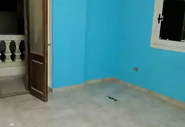 Apartments For rent - 3 rooms - floor 3