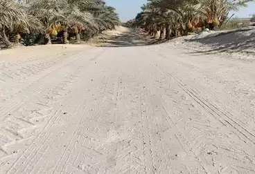 Farm For sale