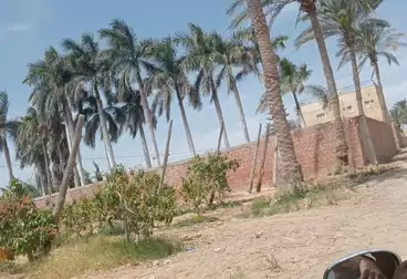 Farm For sale