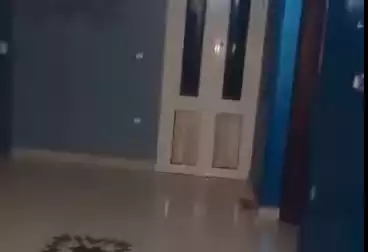Properties For rent - 3 rooms - floor 5