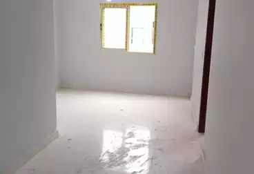 شقق للإيجار - 3 غرف - بالدور 10