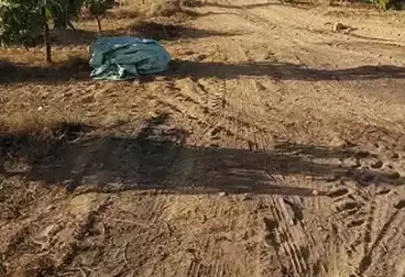 أرض زراعية للبيع