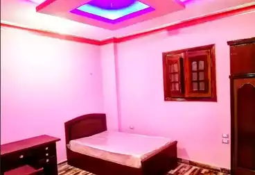 غرف مشاركة للإيجار - 1 غرف - بالدور 11