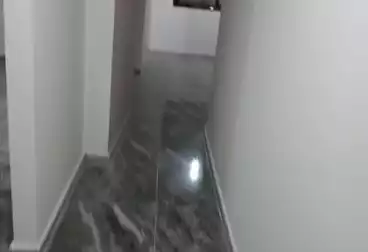 Apartments For rent - 3 rooms - floor 1