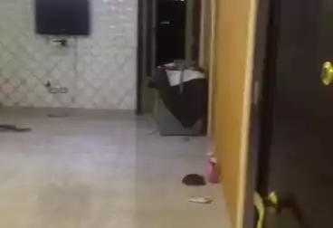 Apartments For rent - 3 rooms - floor 8