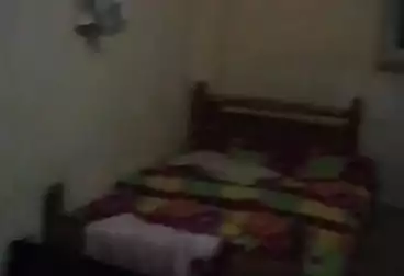 Apartments For sale - 3 rooms - floor 1