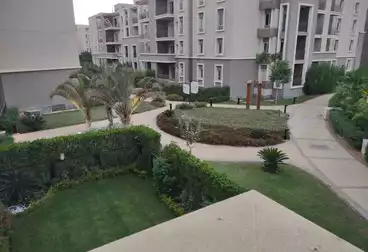 شقق للبيع - 3 غرف - بالدور 1