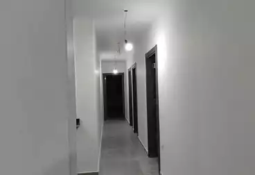 Apartments For rent - 3 rooms - floor 1