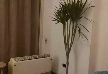 Furnished Apartment For rent - 3 rooms - floor 2