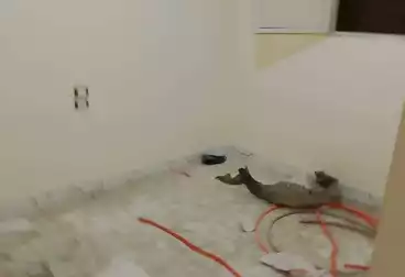 Apartments For rent - 3 rooms - floor 1