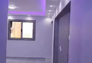 شقق للإيجار - 3 غرف - بالدور 10