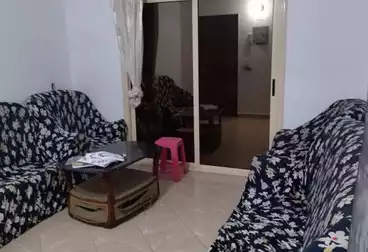 Apartments For rent - 2 rooms - floor 3
