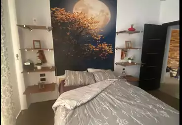Apartments For rent - 2 rooms - floor 3