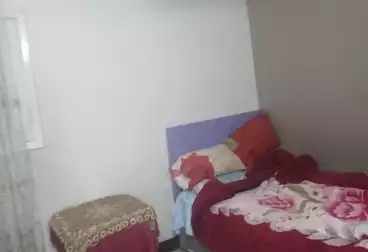 Apartments For rent - 2 rooms - floor 2