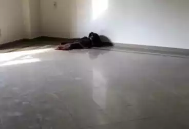 undefined undefined - 3 rooms - floor 2