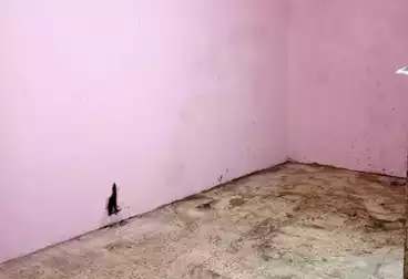Apartments For rent - 2 rooms - floor 2