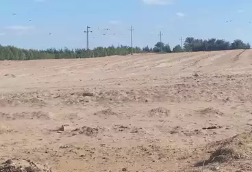 Farm For sale