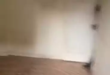 Apartments For rent - 3 rooms - floor 5
