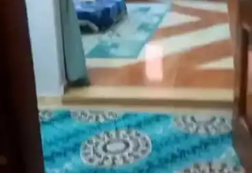 undefined undefined - 3 rooms - floor 6