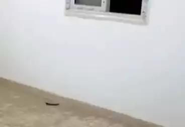 undefined undefined - 3 rooms - floor 5