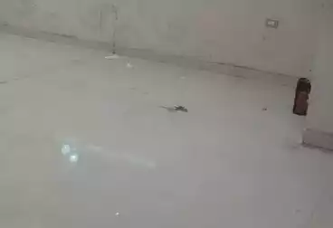 Duplex For rent - 6 rooms - floor 2