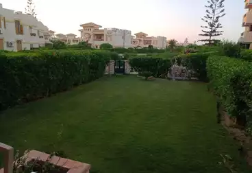 شاليه بحديقة للبيع - 2 غرف - بالدور 0
