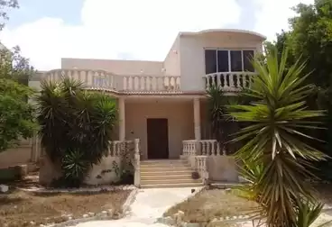 Garden Villa For sale - 4 rooms