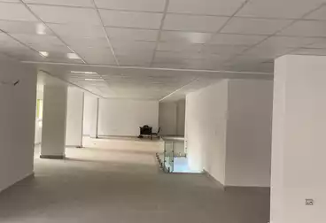 Administrative Duplex For rent - 20 rooms - floor 0