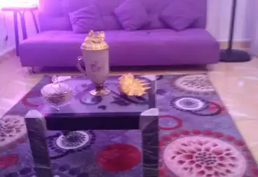 Furnished Apartment For rent - 2 rooms - floor 5