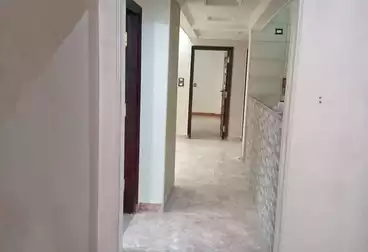 شقق للإيجار - 3 غرف - بالدور 1