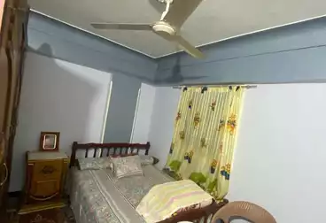 Properties For rent - 3 rooms - floor 1