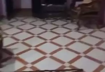 undefined undefined - 2 rooms - floor 7