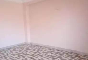 Apartments For rent - 2 rooms - floor 1