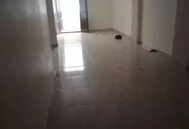 Apartments For rent - 3 rooms - floor 8