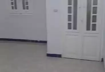 Apartments For rent - 3 rooms - floor 5