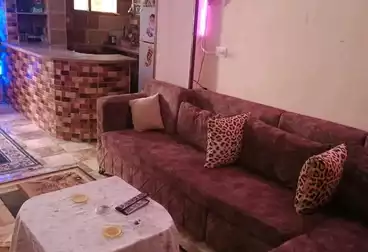شقق مفروشة للإيجار - 2 غرف - بالدور 0