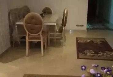 Furnished Apartment For rent - 2 rooms - floor 3