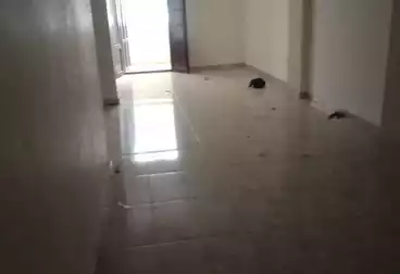 Apartments For rent - 3 rooms - floor 8