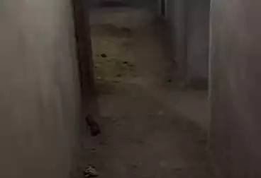 Apartments For sale - 3 rooms - floor 11