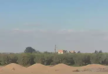 أرض زراعية للبيع