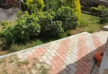 Farm For sale