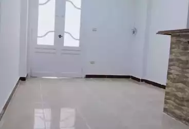 Apartments For rent - 2 rooms - floor 1