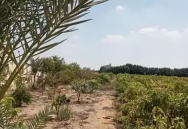 Farm For sale