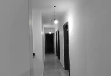 Apartments For rent - 3 rooms - floor 1